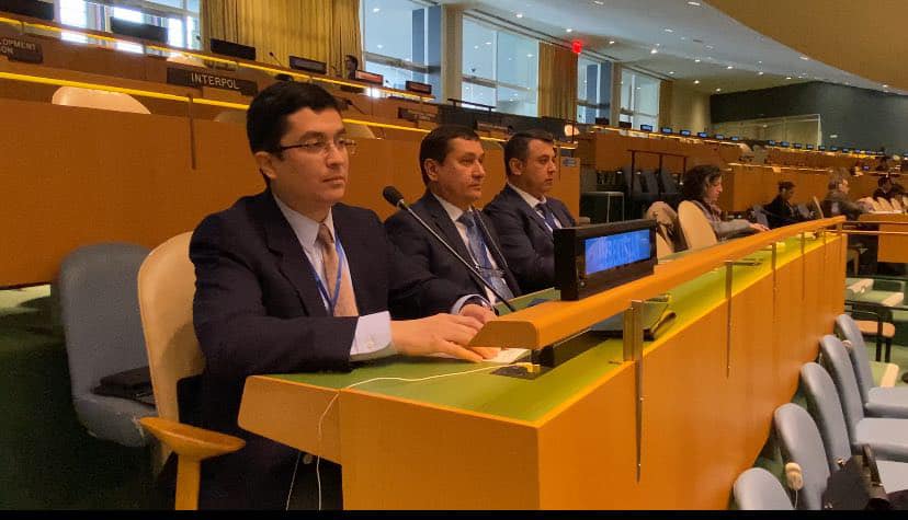 BMT Oʻzbekiston tashabbusi bilan 2027–2036-yillarni Oʻrmonlarni ko‘paytirish va tiklash o‘n yilligi deb eʼlon qildi