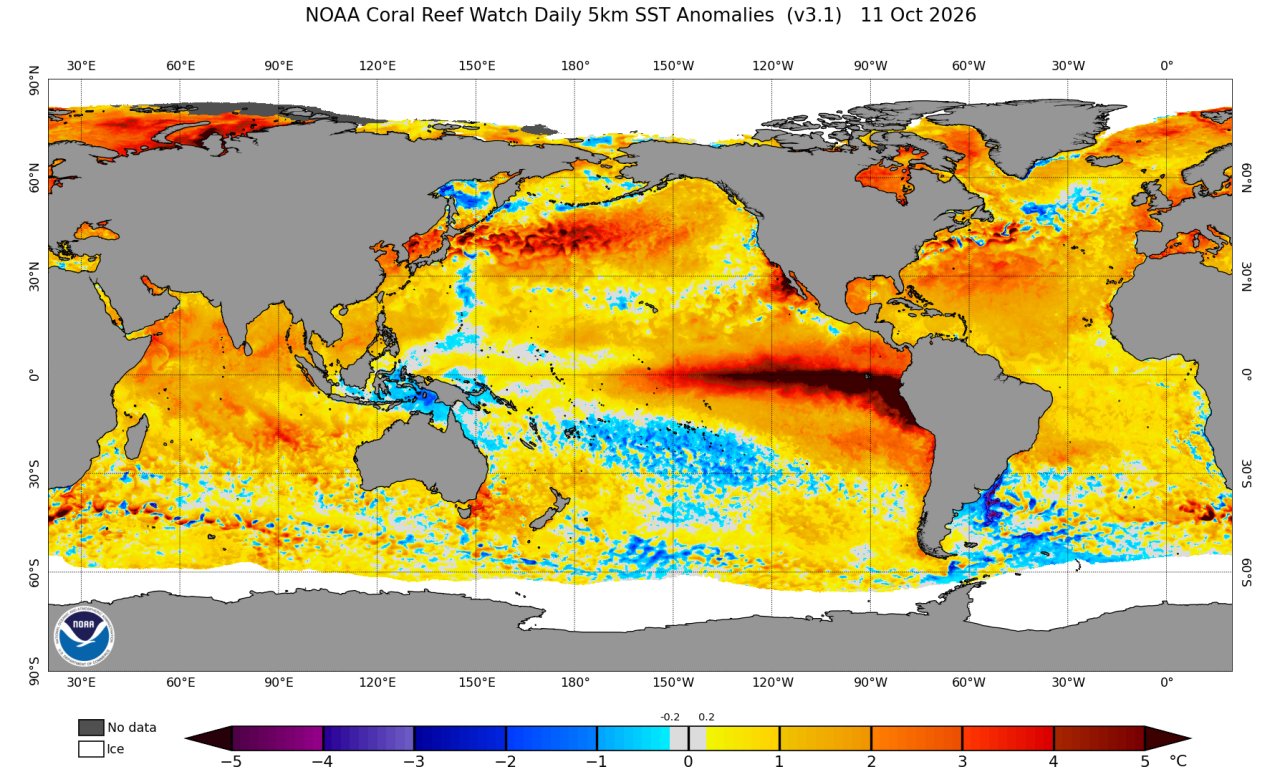 JMT: El-Nino kuchaymoqda, Tinch okeani suvi rekord darajada isishi kutilmoqda