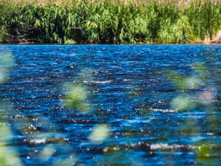 “Ekoagro va madaniy turizm” eko-agrotur