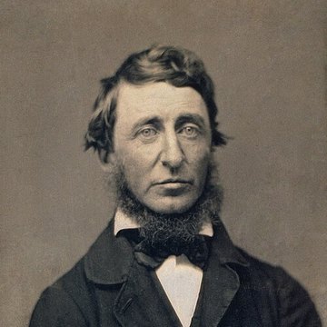 Genri Devid Toro
